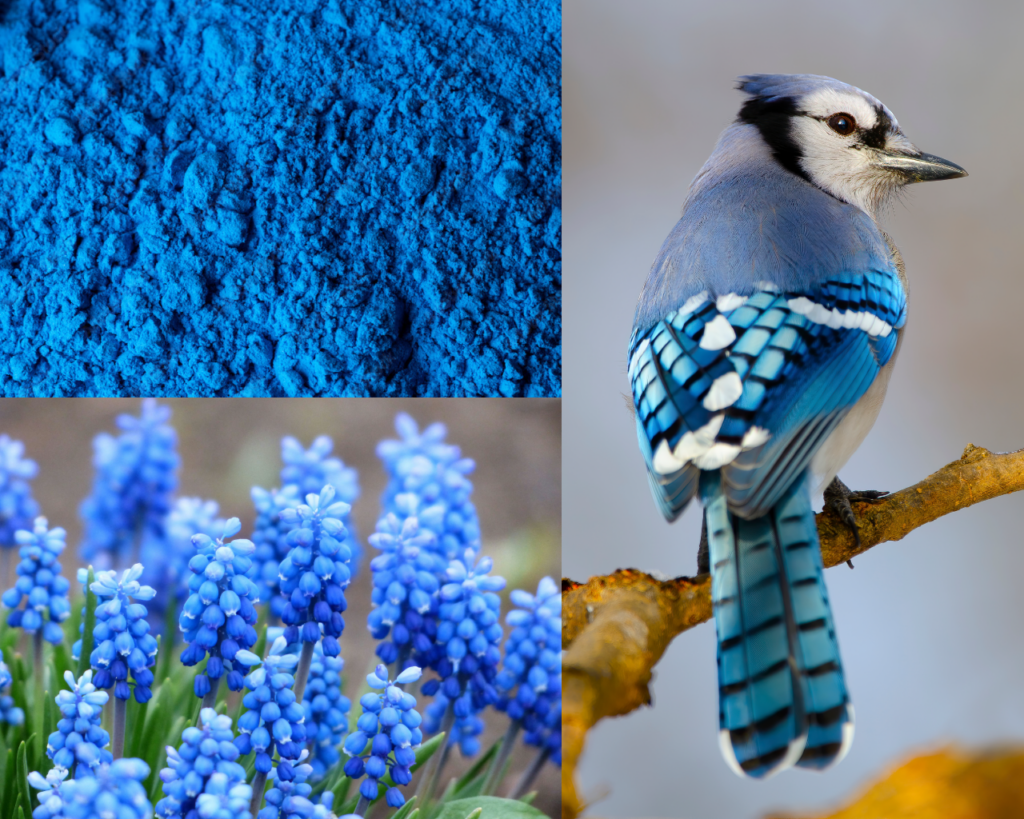 Mayer Fabrics News & Events - Color Inspiration: A Nod to Nature ...